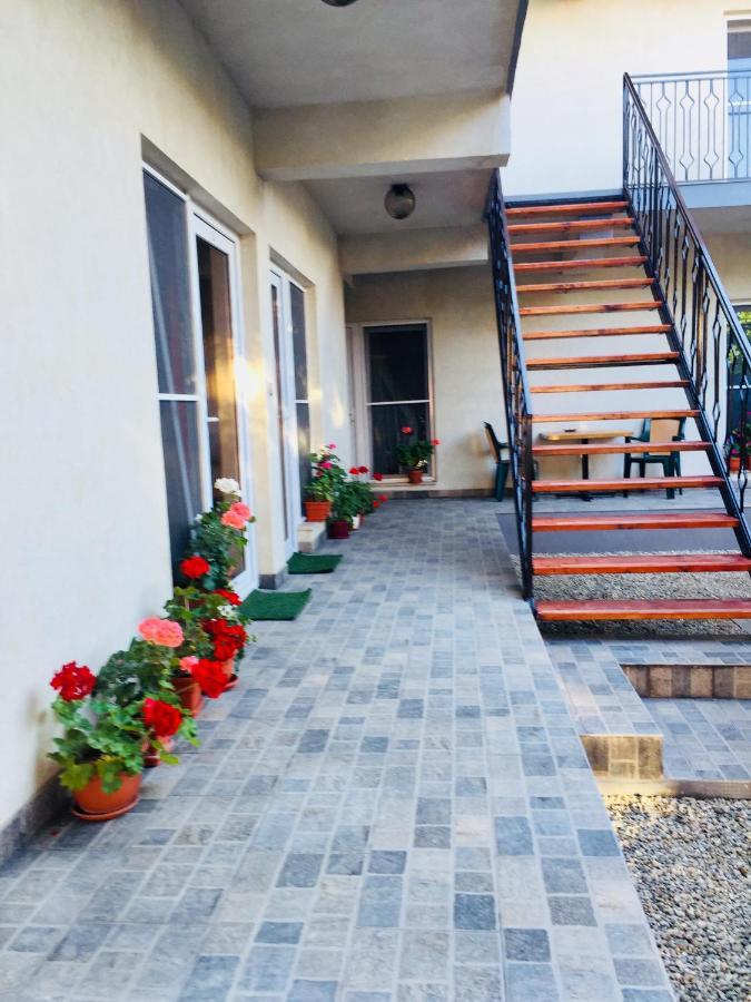 Casa Tudor 코스티네스티 외부 사진