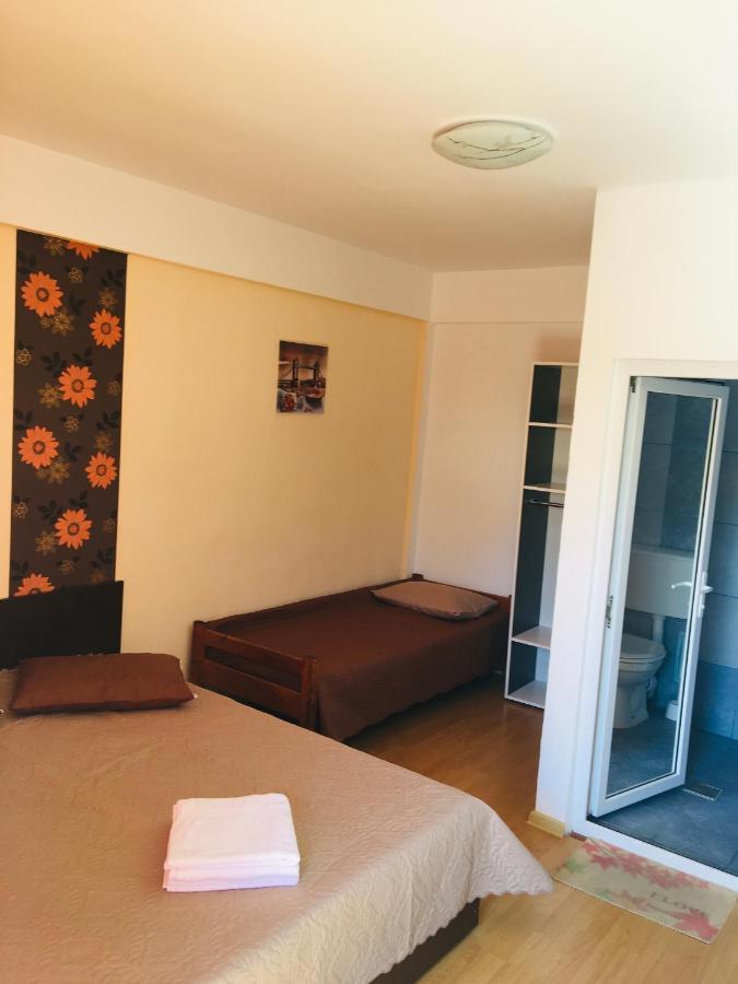 Casa Tudor 코스티네스티 외부 사진